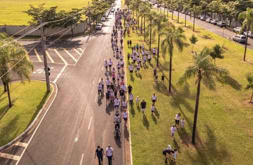 Caminhada Ecológica